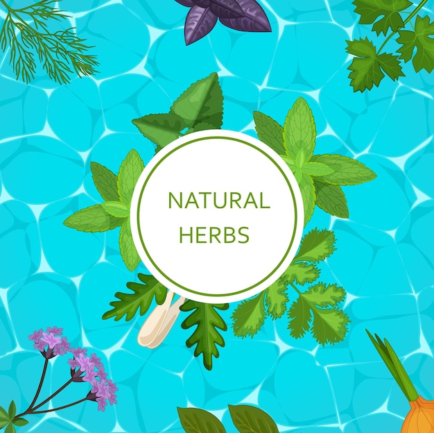 Natural herbs banner with herbaceous plants and flowers