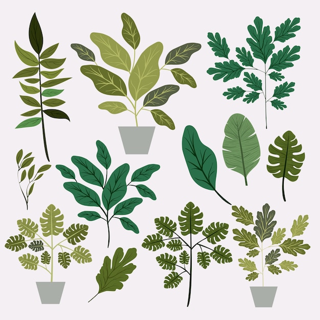 natural leafs and houseplant pattern background