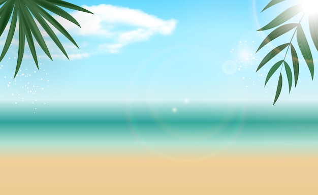 Natural Palm Summer Sea Background