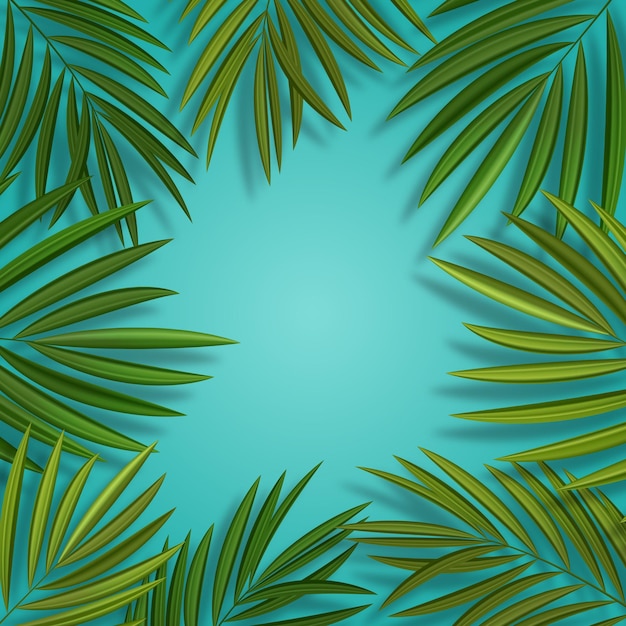 Natural Realistic Green Palm Leaf Tropical Background Vector illustration