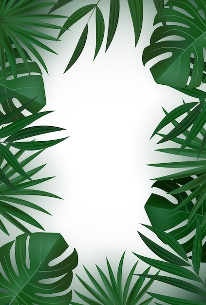 Natural Realistic Green Palm Leaf Tropical Background.