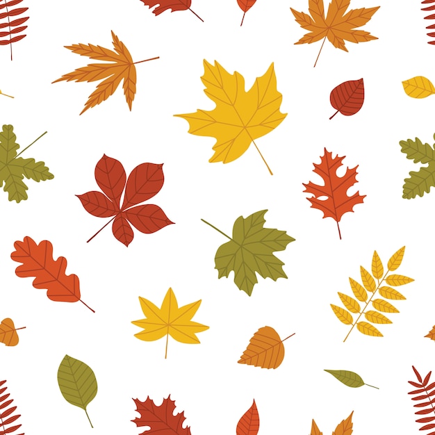 Natural seamless pattern with autumn fallen leaves of forest trees on white