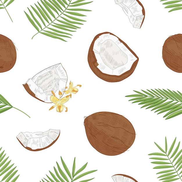 Natural seamless pattern with exotic fresh coconuts, blooming flowers and palm tree foliage hand drawn on white background