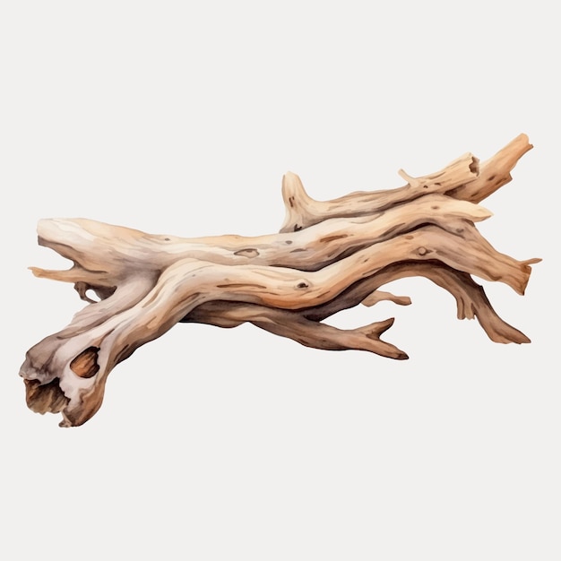 Natural wooden driftwood decor