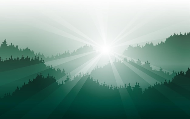 Vector nature abstract background with foggy pine forest and sunbeam