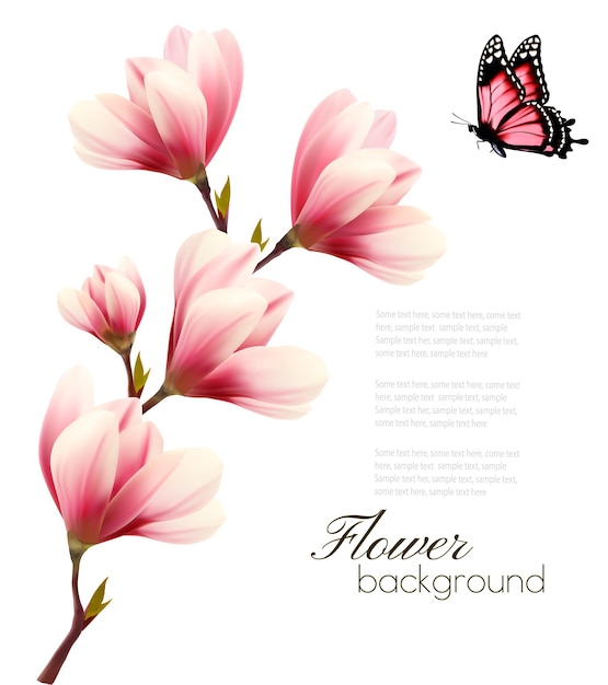 Nature background with blossom branch of pink flowers and butterfly. Vector