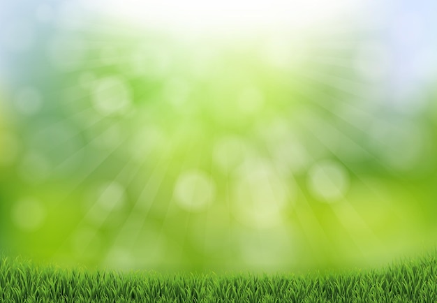 Vector nature background with grass and bokeh