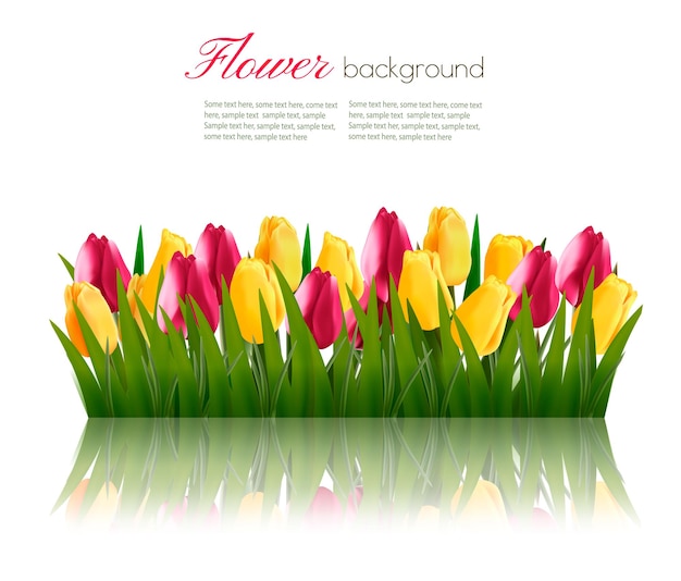 Vector nature background with green grass and colorful flowers. 