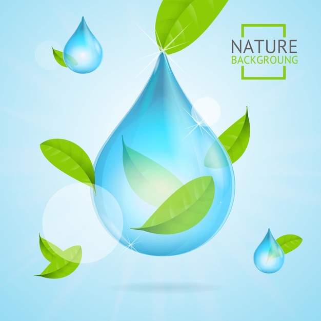 Nature Concept Transparent Purity Drop Water and Fly Green Leaves Vector