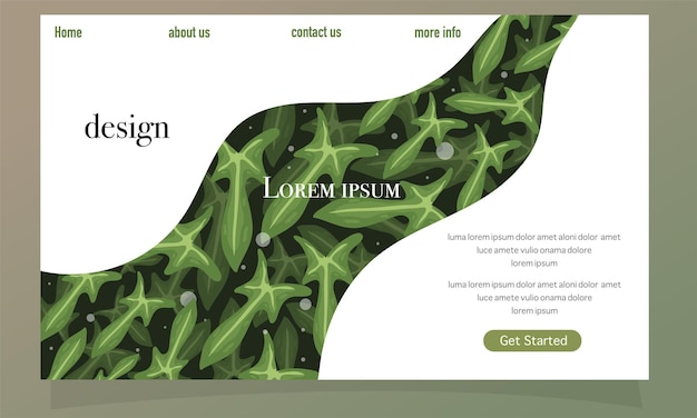 Vector nature foliage plants for background and landing page design set bundle 