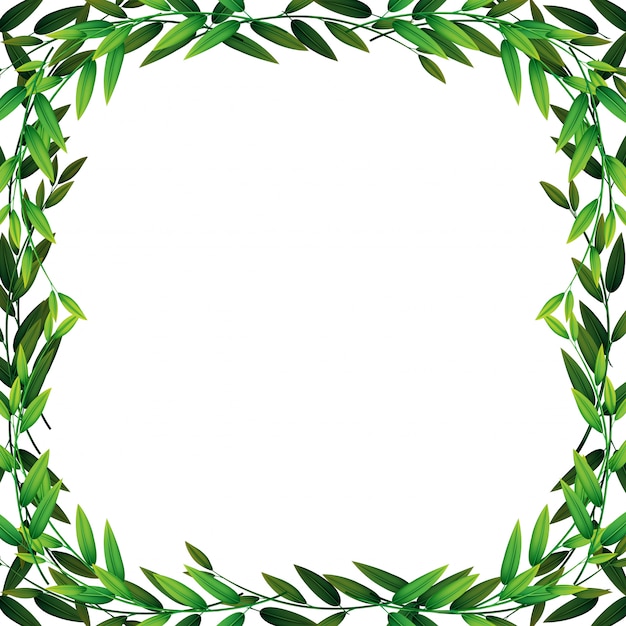 A nature leaf border