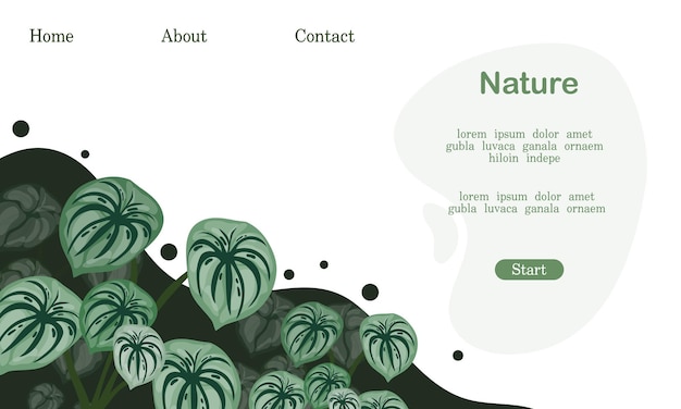 nature plants illustration for landing page background with nature style
Description