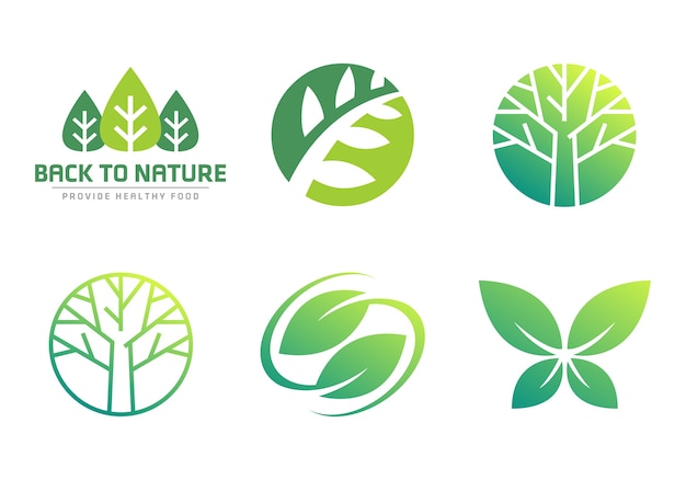 Nature Tree Leaf Symbol Collections