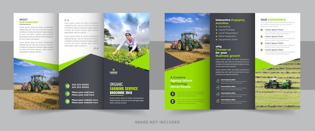 Vector nature trifold brochure design template