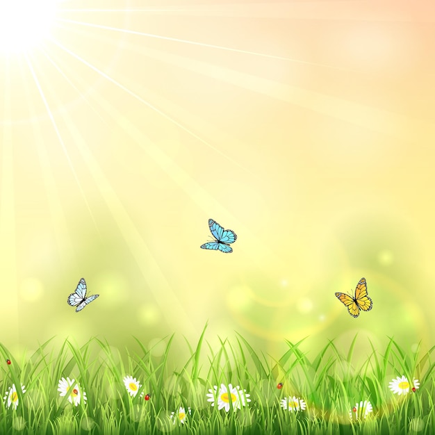 Nature with butterflies summer background with Sun and flowers in the grass illustration