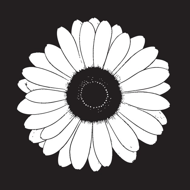 Vector natures serenade gerbera daisy vector emblem sunshine blossom gerbera daisy icon design