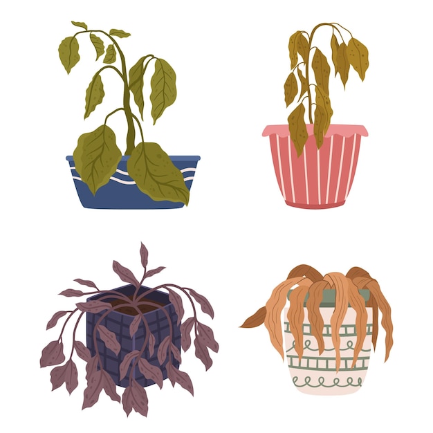 Vector neglected and drooping the wilting houseplants sigh in silent plea for water and care once vibrant now withering revive them with love and a splash of life cartoon vector illustration