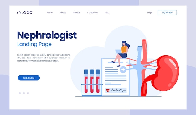 Nephrologist urologist kidney health medical checkup healthy anatomy flat illustration vector landing page template