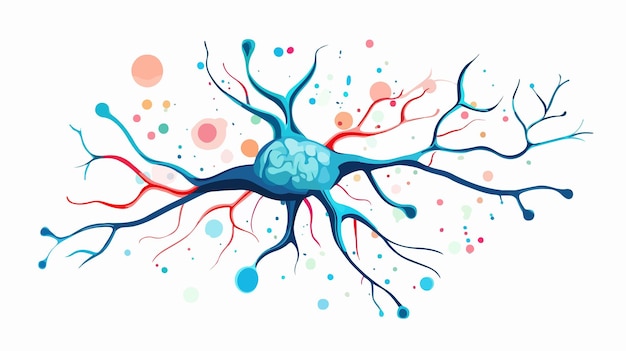 Vector neural connection diagram understand structure of neuron