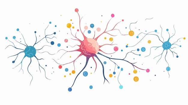 Vector neural connection diagram understand structure of neuron