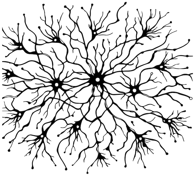 Vector neural connections one line sketch