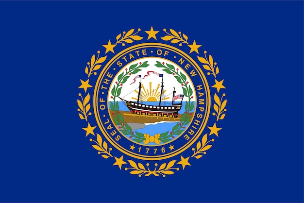 New Hampshire state flag Vector illustration