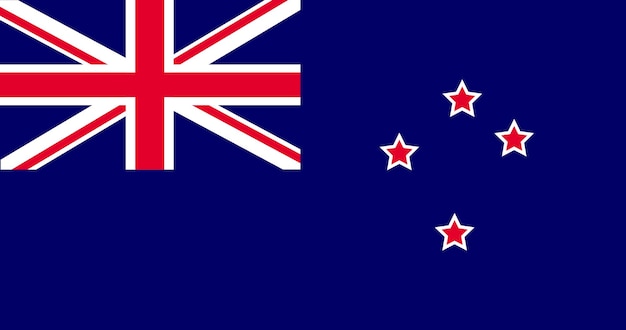 New Zealand flag in vector