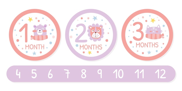 Vector newborn baby monthly stickers set 12 month label templates first year of life baby development vector illustration