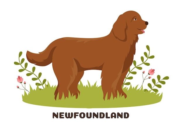 Newfoundland Dog Animals with Black Brown or Landseer Color in Flat Style Cartoon Illustration