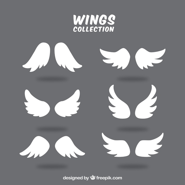 Nice collection of decorative wings