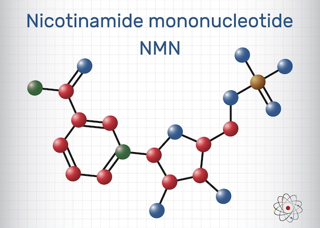 Nicotinamide mononucleotide NMN molecule IMolecule model Sheet of paper in a cage