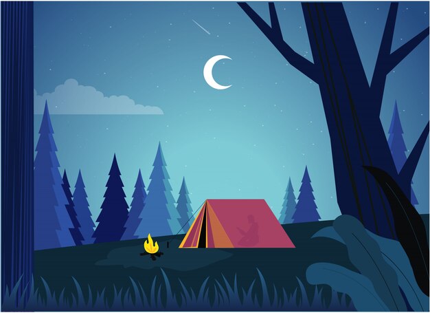 Vector night camp illustration