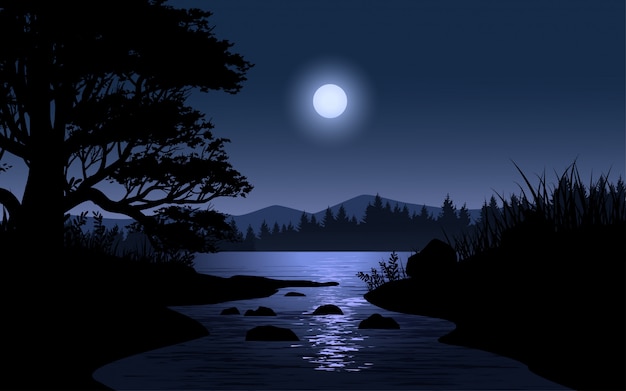 Vector night landscape in forest with stream