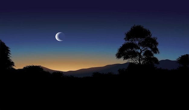 Vector night scene landscape with tree silhouette