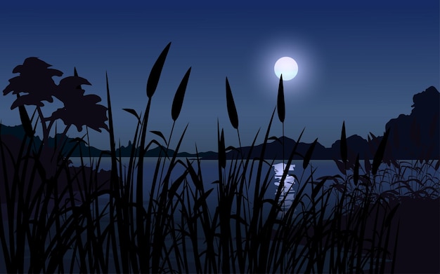 Night with moon grass tree silhouette and lake