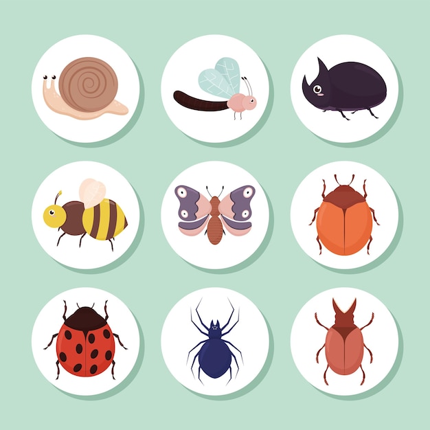 Nine cute bugs