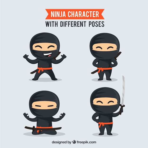 Ninja warrior character collection