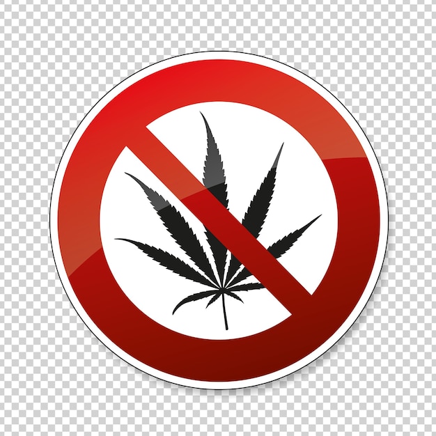 No cannabis No marijuana Cannabis leaf Marijuana weed hemp is forbidden prohibition sign on checked transparent background Vector illustration Eps 10 vector file