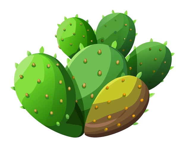 Vector nopales vector illustration isolated on white background