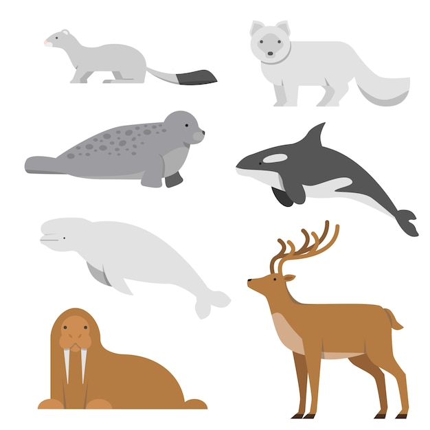 Northern and arctic animals. Vector illustrations in flat style