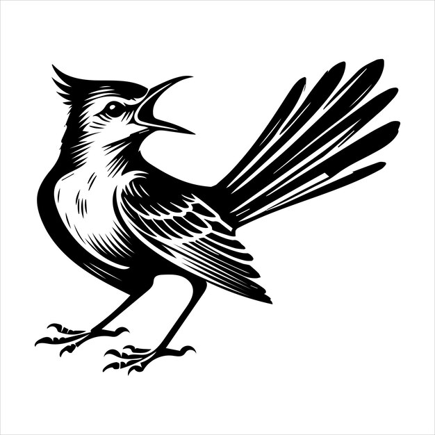 Vector northern mockingbird silhouette design mockingbird bird vector illustration in black and white