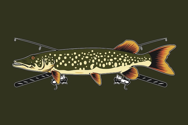 Northern pike fish vector illustration