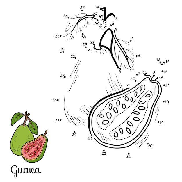 Numbers dot to dot game for children fruits and vegetables guava