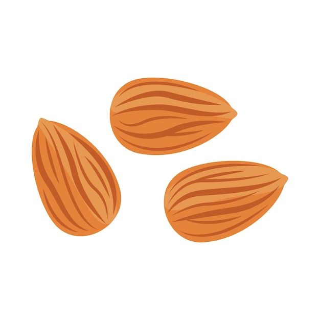 Nut almond. Food. Healthy diet. Vector illustration