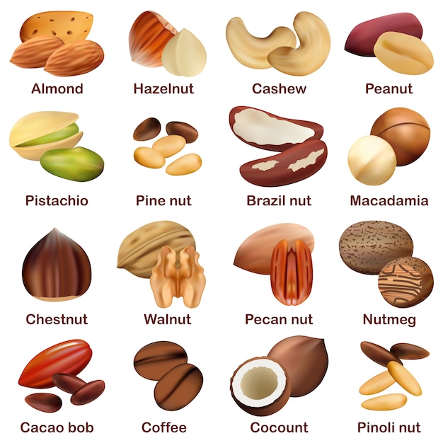 Nut types signed names mockup set