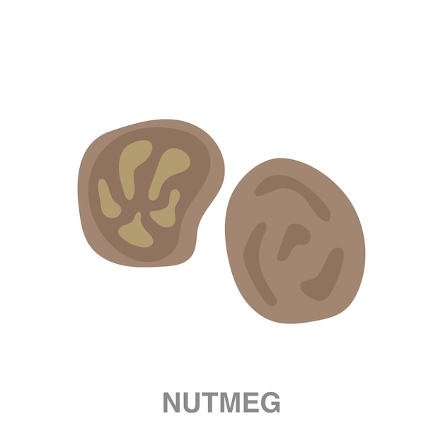 Nutmeg illustration on transparent background