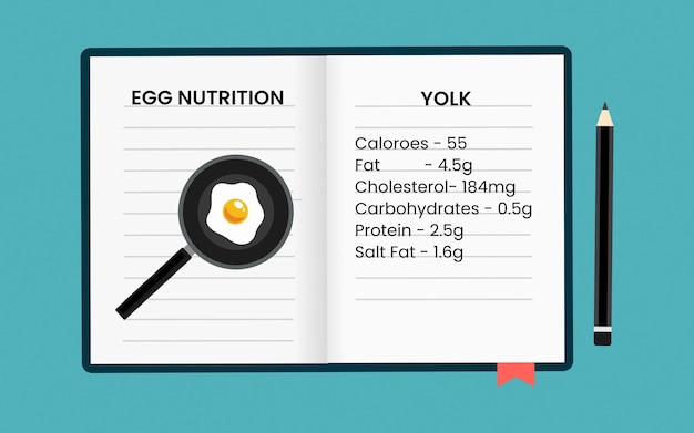 Nutrition facts in egg. Infographics about nutrition facts in egg. vector illustration.