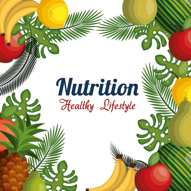 nutrition healthy food isolated icon 