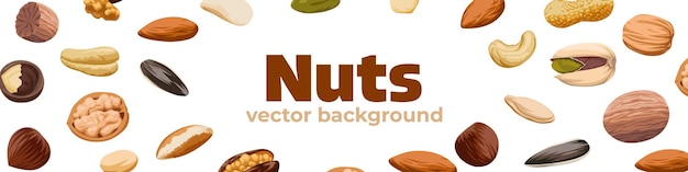 Vector nuts banner nuts template flat style