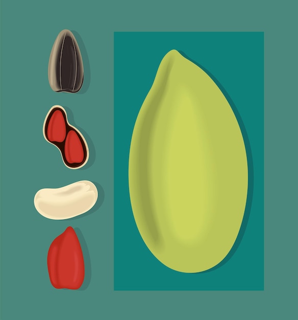 Nuts and beans icon collection